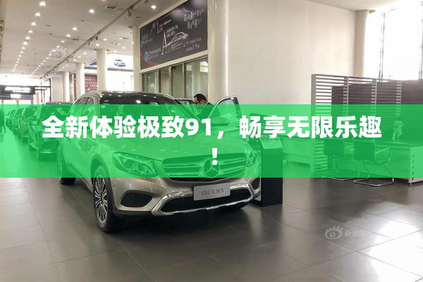 全新体验极致91，畅享无限乐趣！