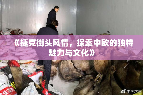 《捷克街头风情，探索中欧的独特魅力与文化》