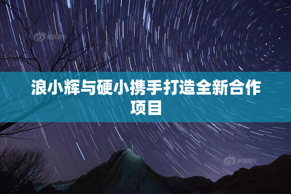 浪小辉与硬小携手打造全新合作项目