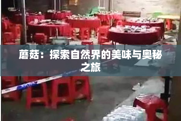 蘑菇：探索自然界的美味与奥秘之旅