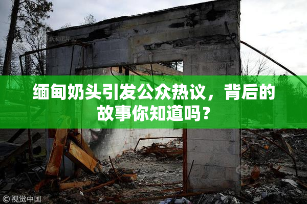 缅甸奶头引发公众热议，背后的故事你知道吗？