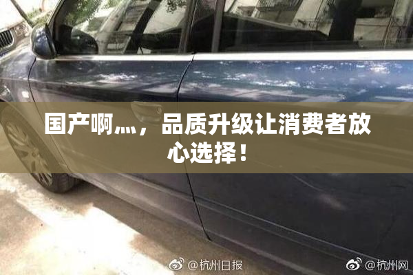 国产啊灬，品质升级让消费者放心选择！