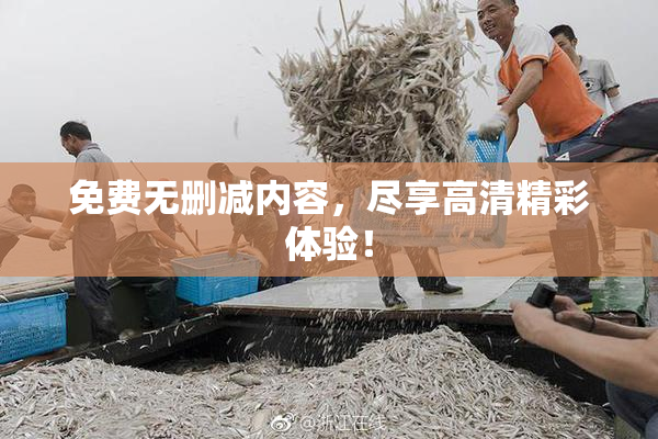 免费无删减内容，尽享高清精彩体验！