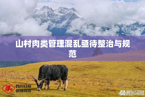 山村肉类管理混乱亟待整治与规范