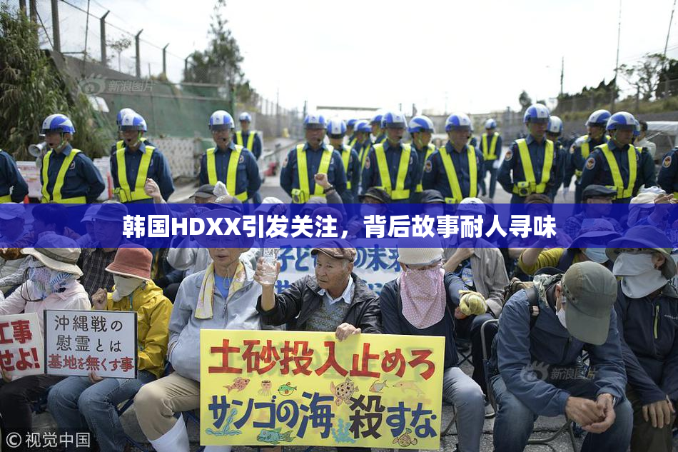 韩国HDXX引发关注，背后故事耐人寻味