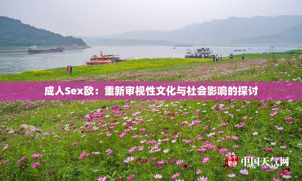 成人Sex欧：重新审视性文化与社会影响的探讨