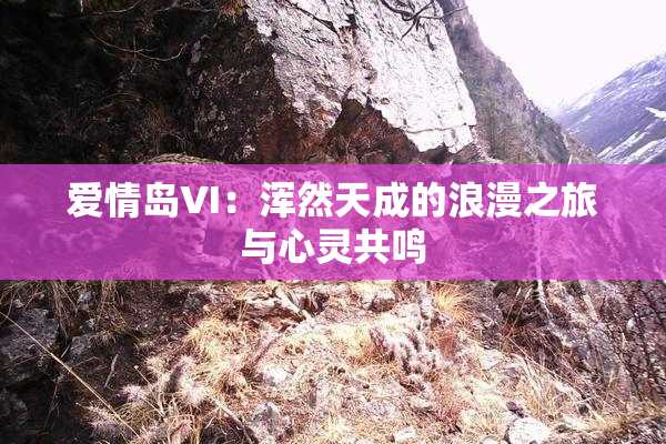 爱情岛VI：浑然天成的浪漫之旅与心灵共鸣