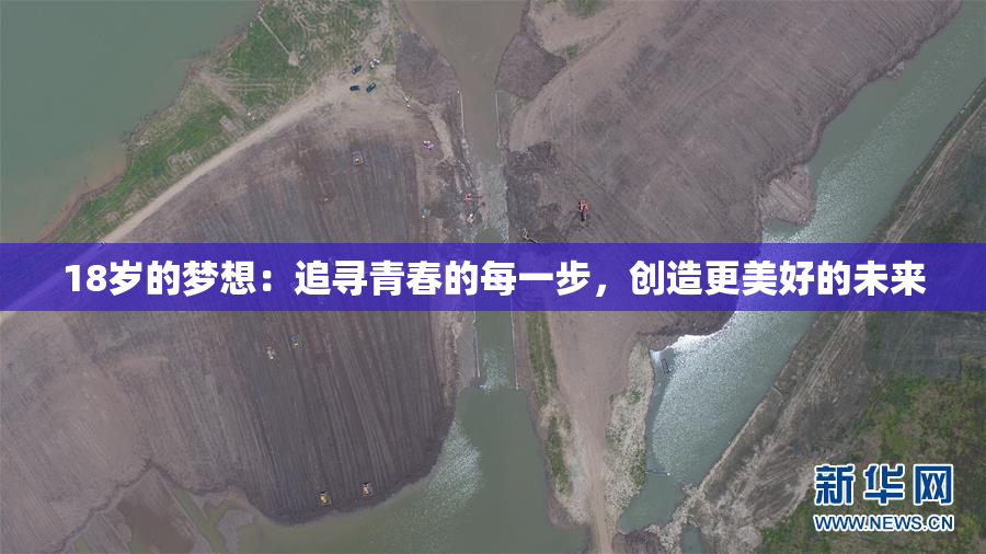18岁的梦想：追寻青春的每一步，创造更美好的未来