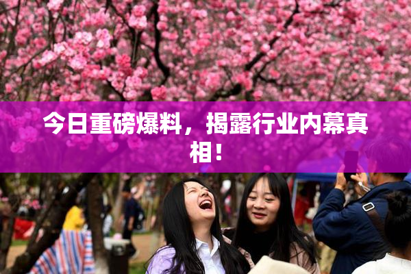今日重磅爆料，揭露行业内幕真相！