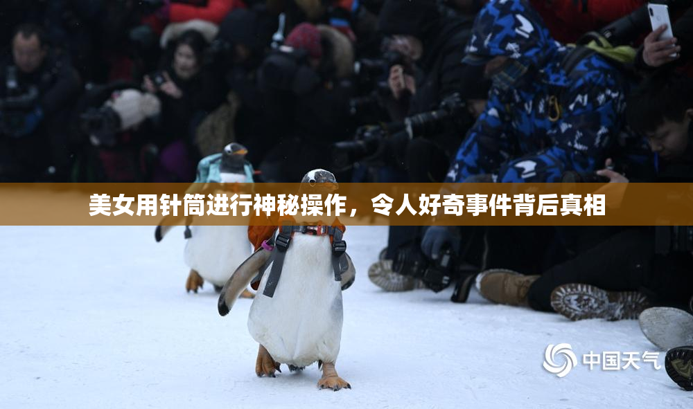 美女用针筒进行神秘操作，令人好奇事件背后真相