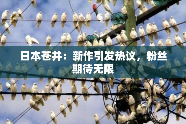 日本苍井：新作引发热议，粉丝期待无限