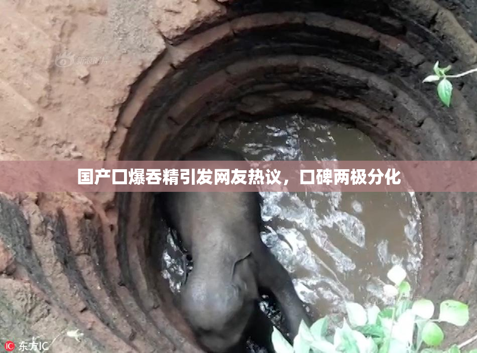 国产囗爆吞精引发网友热议，口碑两极分化