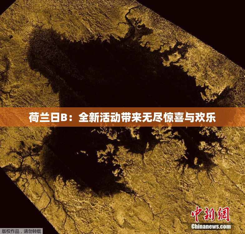 荷兰日B：全新活动带来无尽惊喜与欢乐