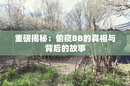 重磅揭秘：偷窥BB的真相与背后的故事