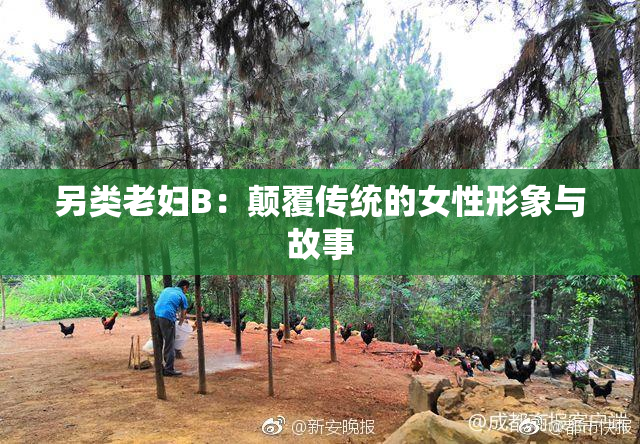 另类老妇B：颠覆传统的女性形象与故事