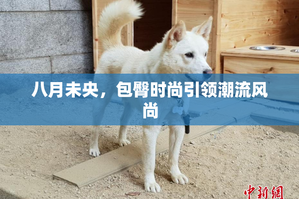 八月未央，包臀时尚引领潮流风尚