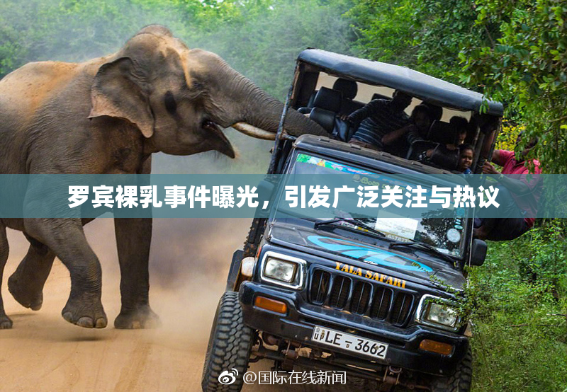 罗宾裸乳事件曝光，引发广泛关注与热议