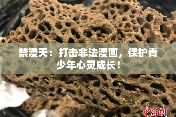 禁漫天：打击非法漫画，保护青少年心灵成长！