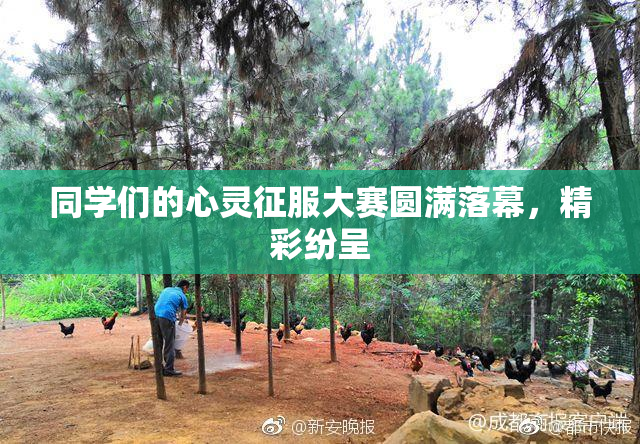 同学们的心灵征服大赛圆满落幕，精彩纷呈