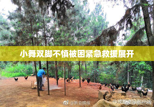 小舞双脚不慎被困紧急救援展开