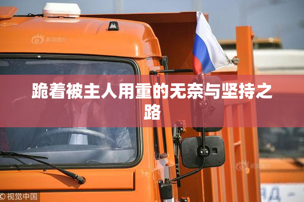 跪着被主人用重的无奈与坚持之路