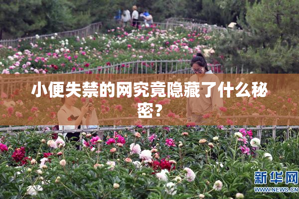 小便失禁的网究竟隐藏了什么秘密？