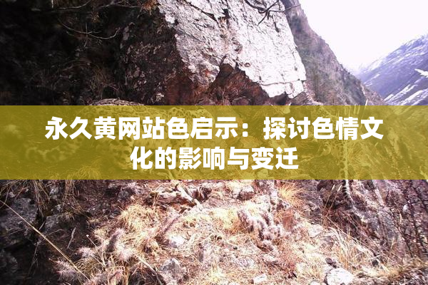 永久黄网站色启示：探讨色情文化的影响与变迁