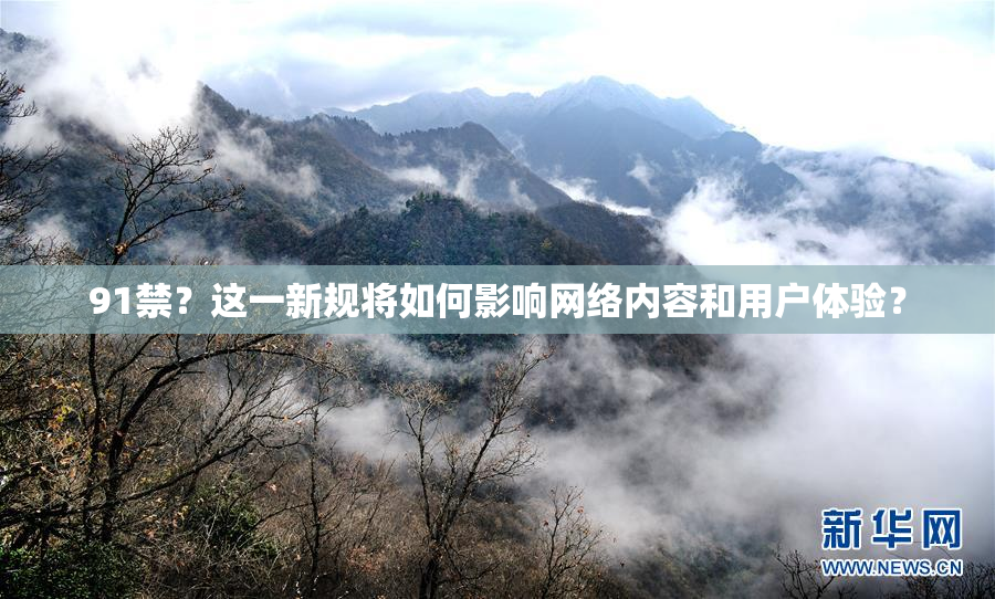 91禁？这一新规将如何影响网络内容和用户体验？