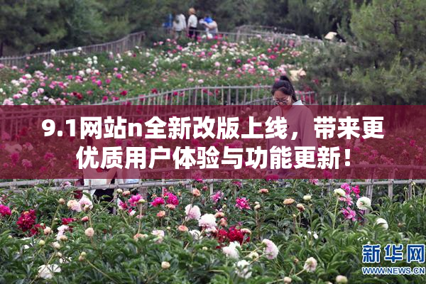 9.1网站n全新改版上线，带来更优质用户体验与功能更新！