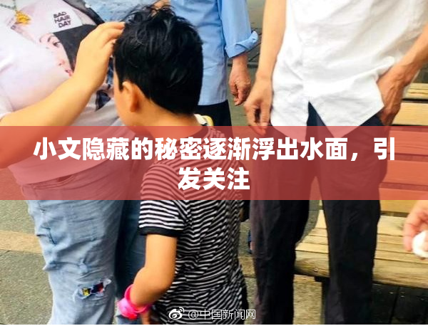小文隐藏的秘密逐渐浮出水面，引发关注