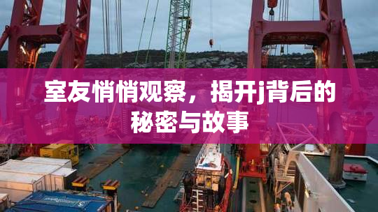室友悄悄观察，揭开j背后的秘密与故事