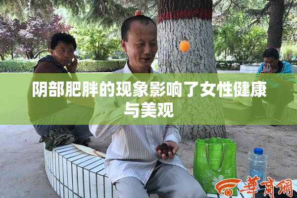 阴部肥胖的现象影响了女性健康与美观