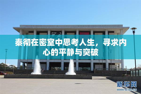 秦彻在密室中思考人生，寻求内心的平静与突破