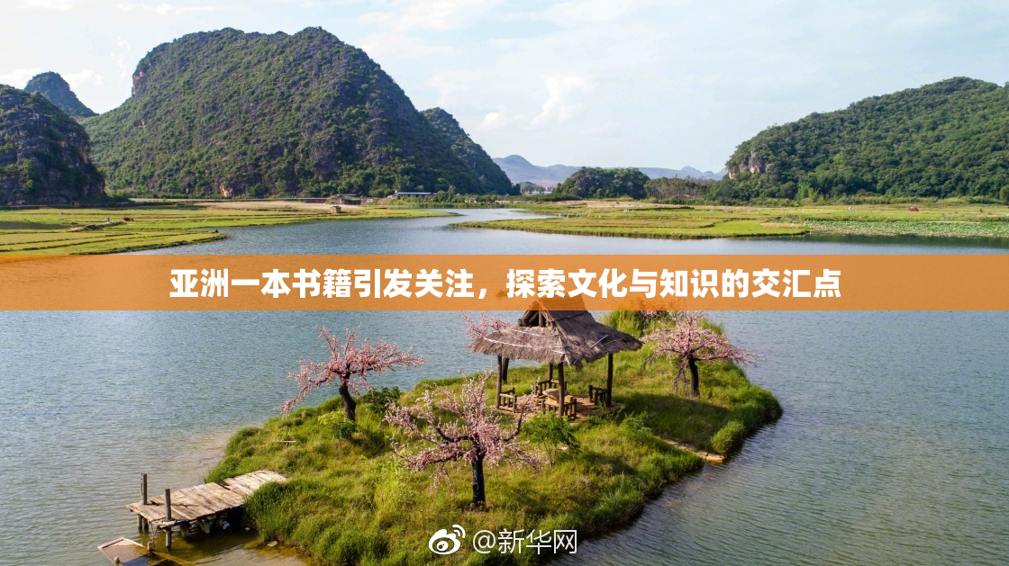 亚洲一本书籍引发关注，探索文化与知识的交汇点