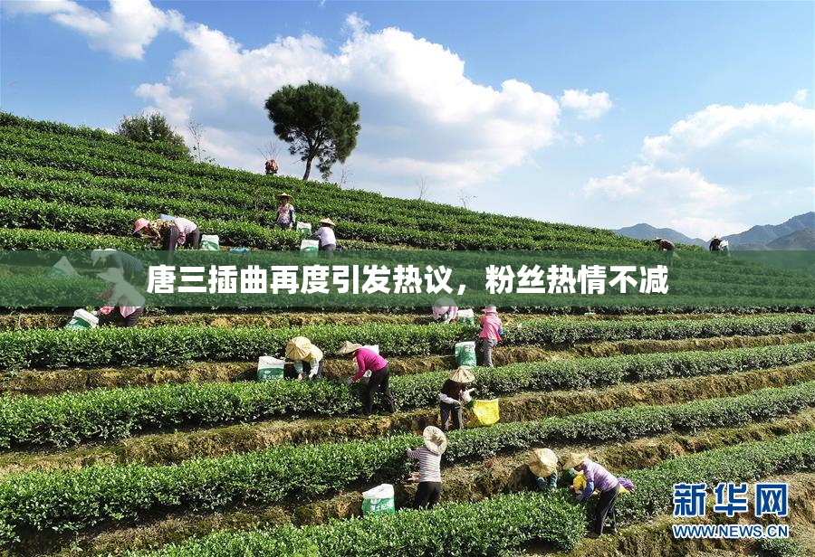 唐三插曲再度引发热议，粉丝热情不减