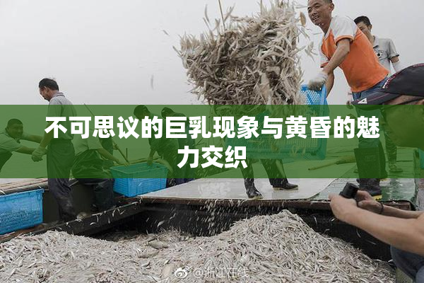 不可思议的巨乳现象与黄昏的魅力交织
