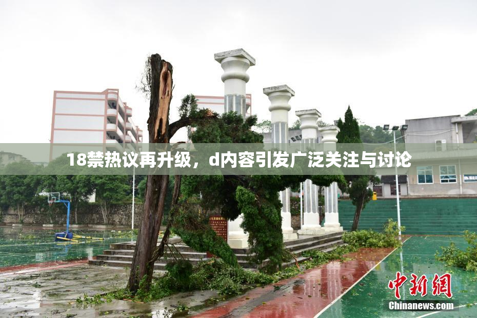 18禁热议再升级，d内容引发广泛关注与讨论