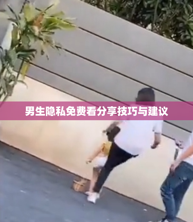 男生隐私免费看分享技巧与建议