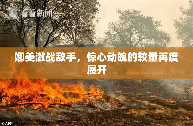 娜美激战敌手，惊心动魄的较量再度展开