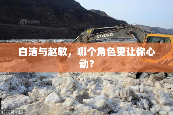 白洁与赵敏，哪个角色更让你心动？