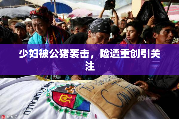 少妇被公猪袭击，险遭重创引关注