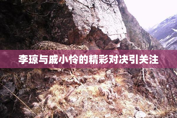 李琼与戚小怜的精彩对决引关注