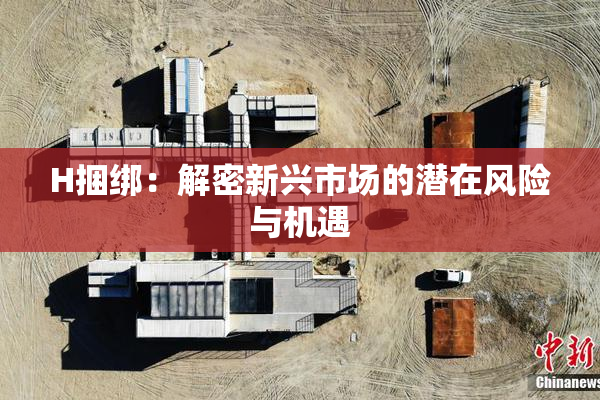 H捆绑：解密新兴市场的潜在风险与机遇