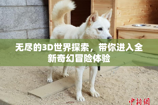 无尽的3D世界探索，带你进入全新奇幻冒险体验