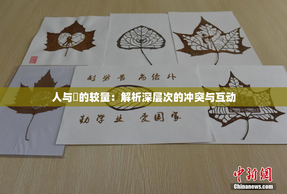 人与嘼的较量：解析深层次的冲突与互动