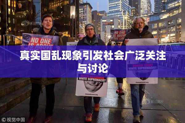 真实国乱现象引发社会广泛关注与讨论