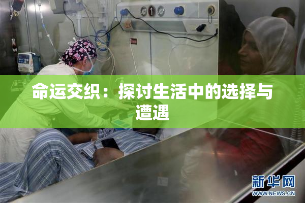 命运交织：探讨生活中的选择与遭遇