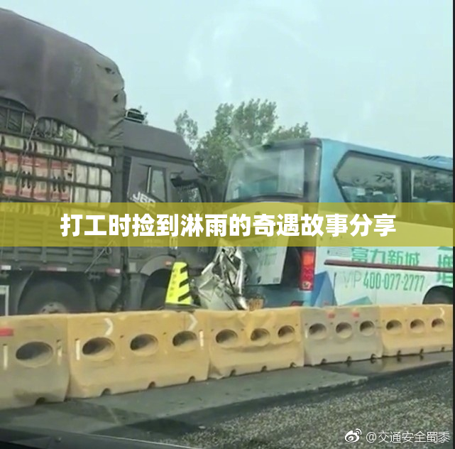 打工时捡到淋雨的奇遇故事分享