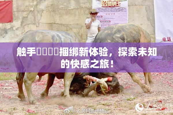 触手❌‌❌‌捆绑新体验，探索未知的快感之旅！