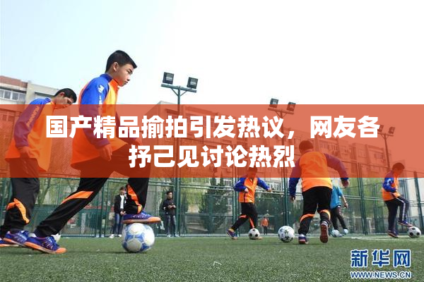 国产精品揄拍引发热议，网友各抒己见讨论热烈